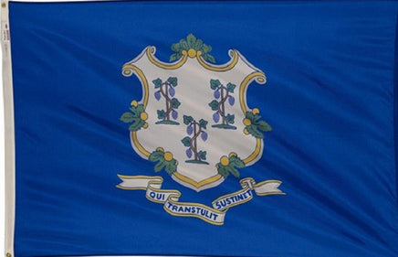 Connecticut state nylon flag