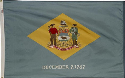 Delaware state nylon flag