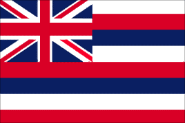 Hawaii 3'x5' Nylon State Flag