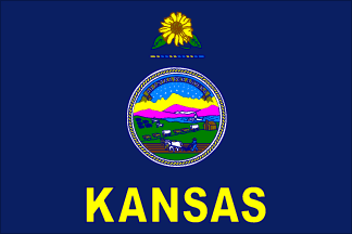 Kansas state flag