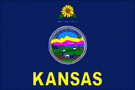Kansas 3'x5' Nylon State Flag
