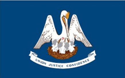 Louisiana state nylon flag