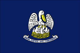 Louisiana Polyester State Flag - 3'x5'