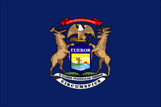Michigan state flag