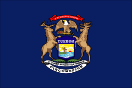 Michigan 3'x5' Nylon State Flag