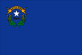 Nevada 3'x5' Nylon State Flag