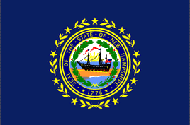 New Hampshire 3'x5' Nylon State Flag