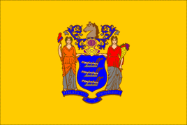 New Jersey 3'x5' Nylon State Flag