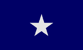 Bonnie Blue Flag - 3'x5' Polyester