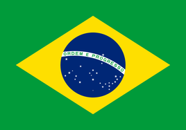 Brazil 3'x5' Nylon Flag