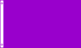 Purple Solid Color Polyester Flag - 3'x5'