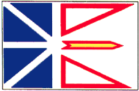 Newfoundland 3'x5' Polyester Flag