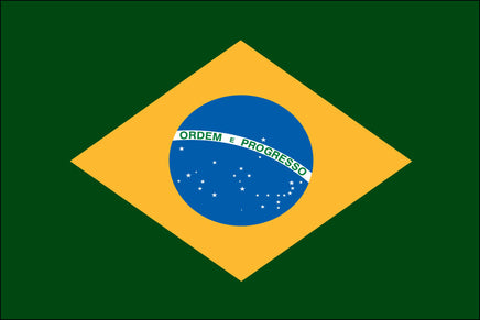 Brazil 2'x3' Polyester Flag