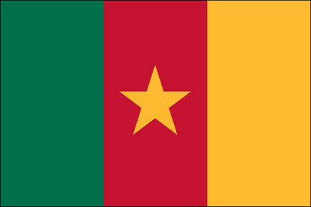 Cameroon 3'x5' Nylon Flag