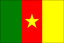 Cameroon Polyester Flag