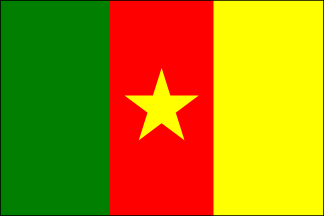 Cameroon Polyester Flag