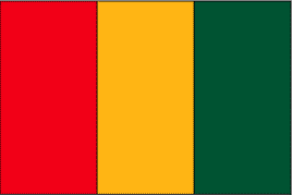 Guinea Polyester Flag