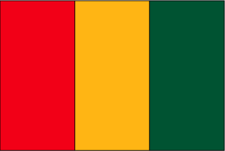 Guinea Polyester Flag