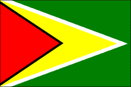 Guyana Polyester Flag