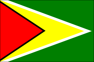 Guyana Polyester Flag