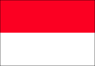 Indonesian Polyester Flag