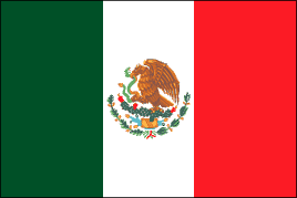 Mexican Polyester Flag