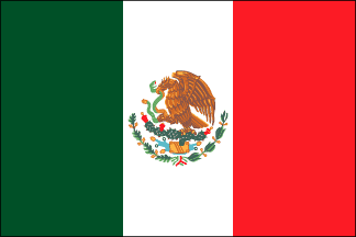Mexican Polyester Flag