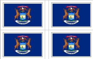 Michigan Vinyl Flag Decal