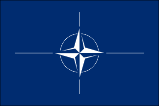 NATO Polyester Flag