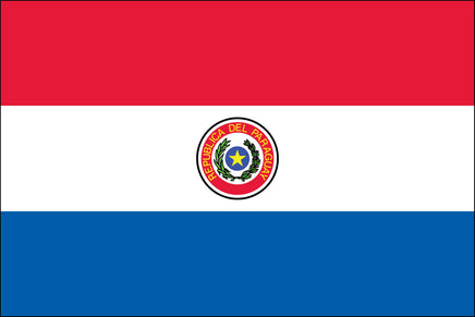 Paraguay 3'x5' Nylon Flag