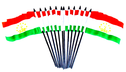 Tajikistan Polyester Miniature Flags - 12 Pack