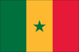 Senegal 2x3 Polyester Flag