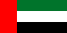 UAE 2'x3' Polyester Flag