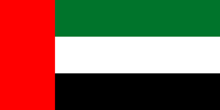 UAE 2'x3' Polyester Flag