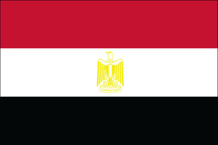 Egypt 3'x5' Nylon Flag