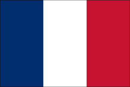 France 2x3 Polyester Flag