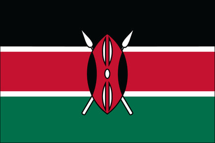 Kenya 3'x5' Nylon Flag