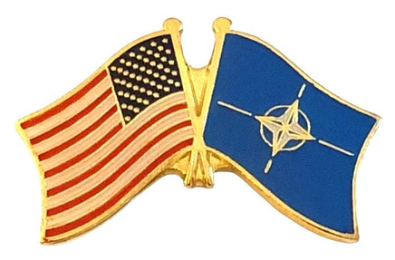 NATO Friendship Flag Lapel Pins