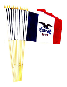 Iowa 12"x18" Stick Flag