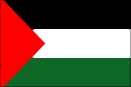 Palestine Polyester Flag