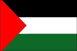 Palestine Polyester Flag