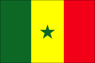 Senegal Polyester Flag