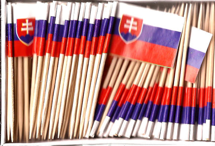 Slovakia Flag Toothpicks