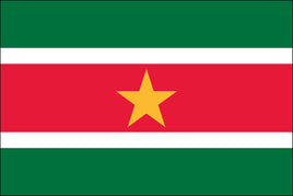 Suriname 3'x5' Nylon Flag