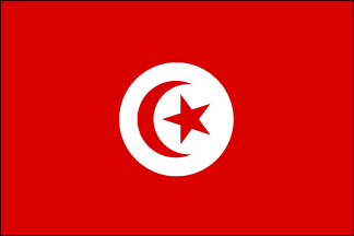 Tunisia Polyester Flag