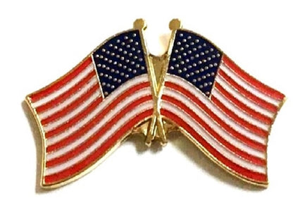 United States Friendship Flag Lapel Pins