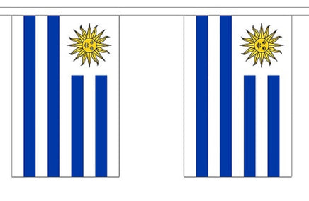 Uruguay String Flag Bunting