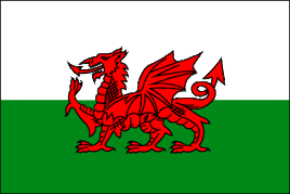 Wales Polyester Flag