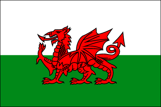 Wales Polyester Flag