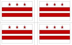 Washington DC Vinyl Flag Decal